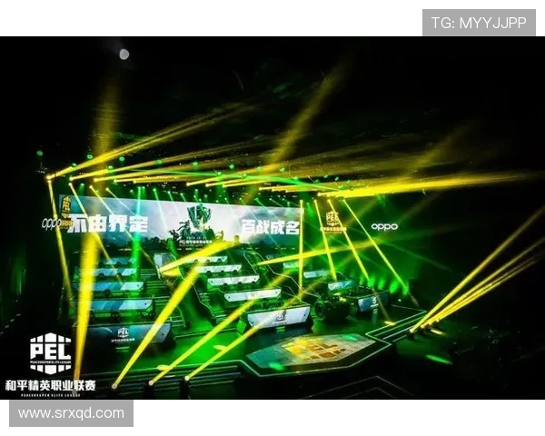 和平精英赛事揭秘：WE战队的成功之道与比赛经验分享